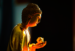 Amitabha Buddhas